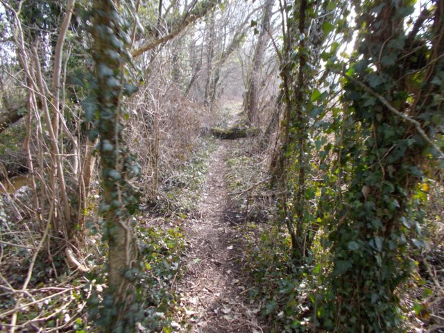 dscn0750.jpg