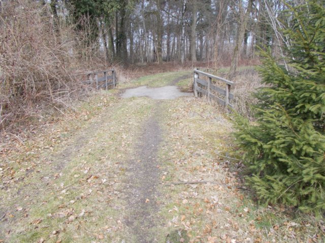 dscn0856.jpg