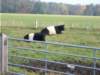 dscn2062_small.jpg