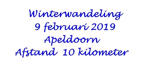 winterwandelingteapeldoorn.jpg