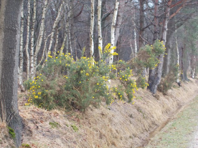 dscn2833.jpg