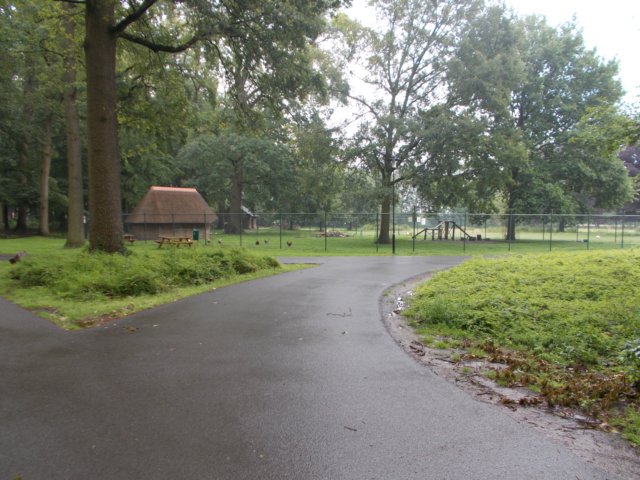 dscn3295.jpg