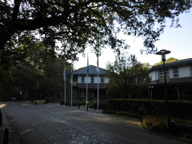 dsci2604.jpg