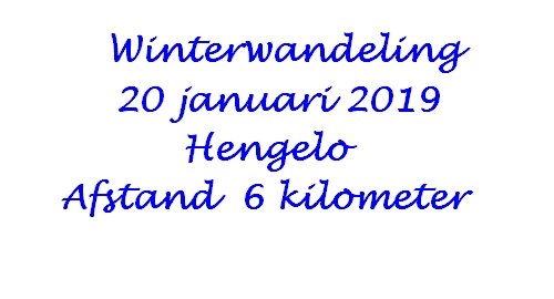 winterwandelingtehengelo.jpg