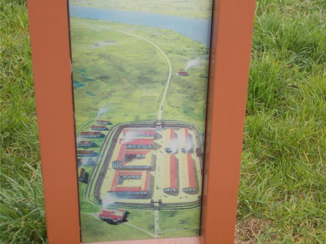 dscn2942.jpg