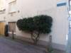 dscn2768_small.jpg