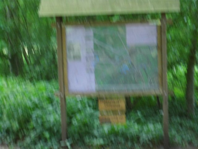 photo60.jpg