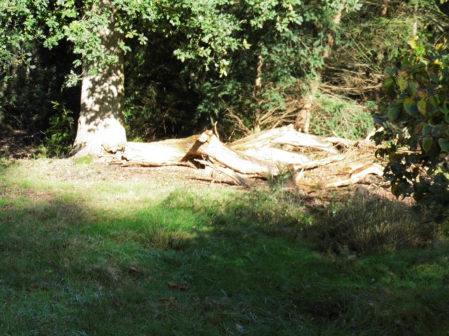 photo32.jpg