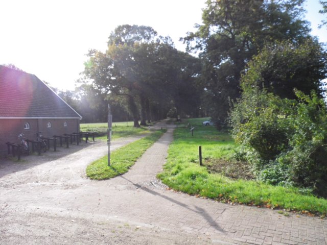 photo56.jpg