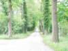 photo32_small.jpg