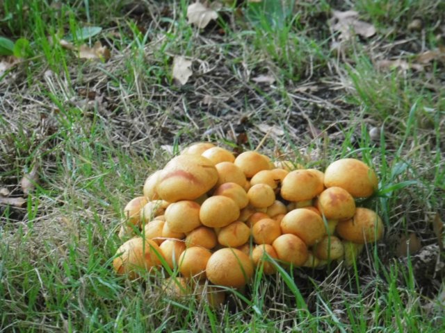 photo29.jpg