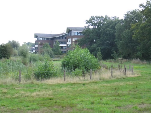 photo46.jpg