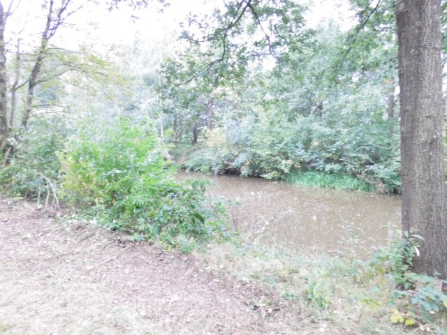 photo17.jpg