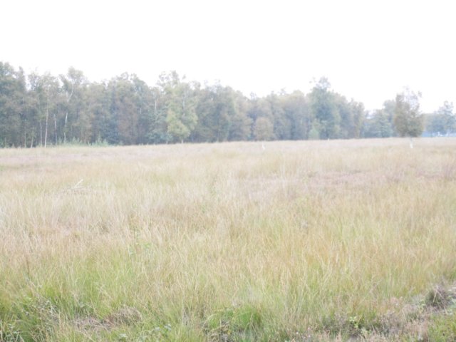 photo44.jpg