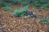 dsc05633_small.jpg