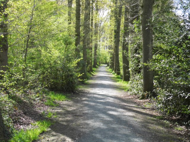 photo7.jpg