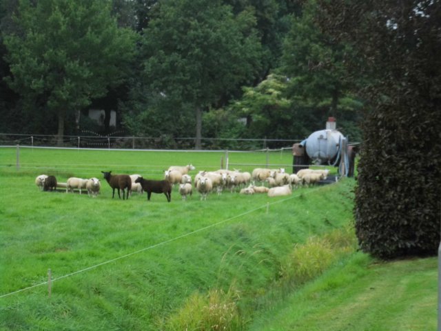 photo52.jpg