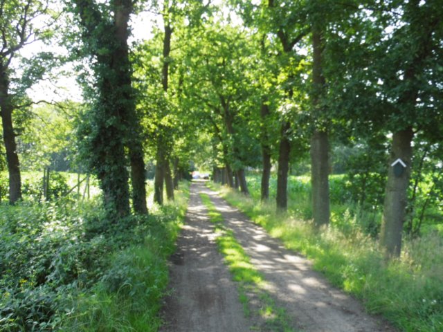 photo5.jpg