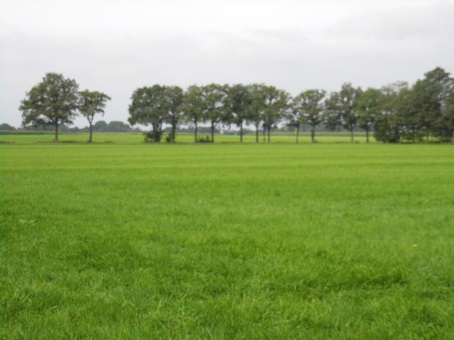 photo5.jpg