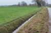 dsc05816_small.jpg