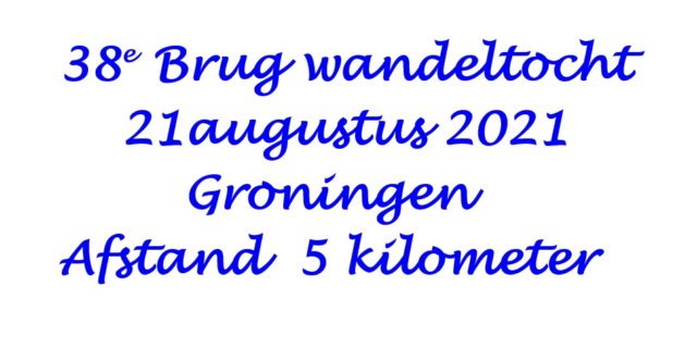 ebrugwandeltochttegroningen.jpg