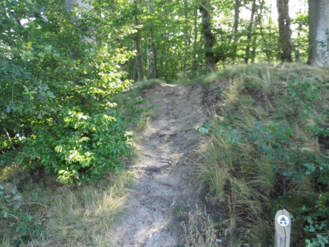photo18.jpg