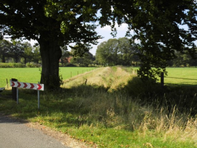 photo58.jpg