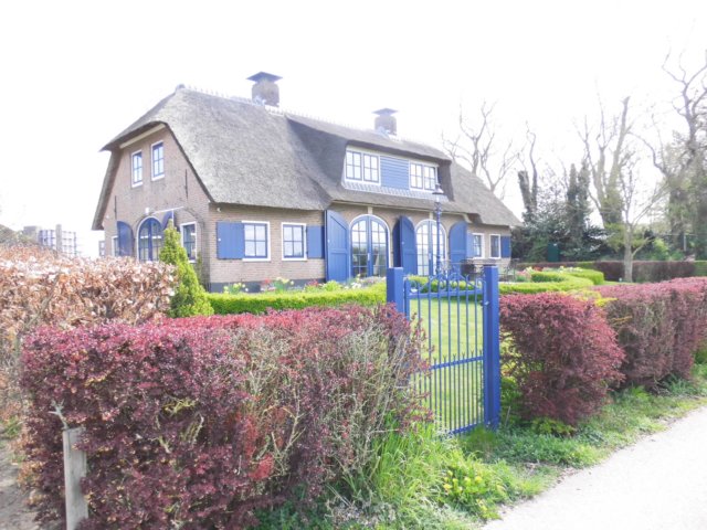 photo34.jpg