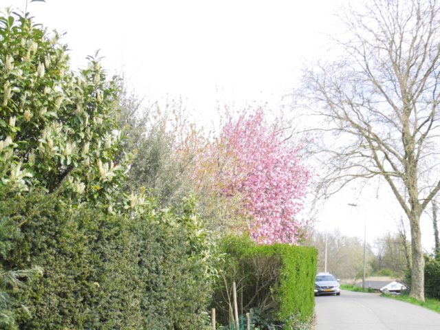 photo36.jpg