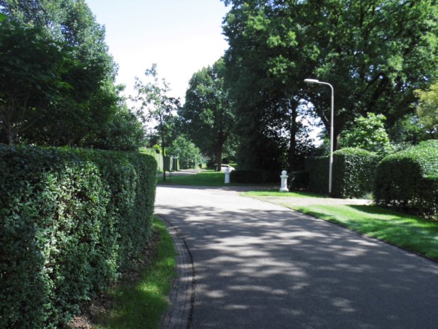 photo56.jpg