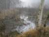 photo17_small.jpg