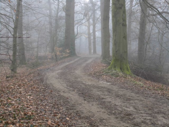 photo19.jpg