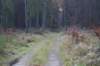 dsc05734_small.jpg