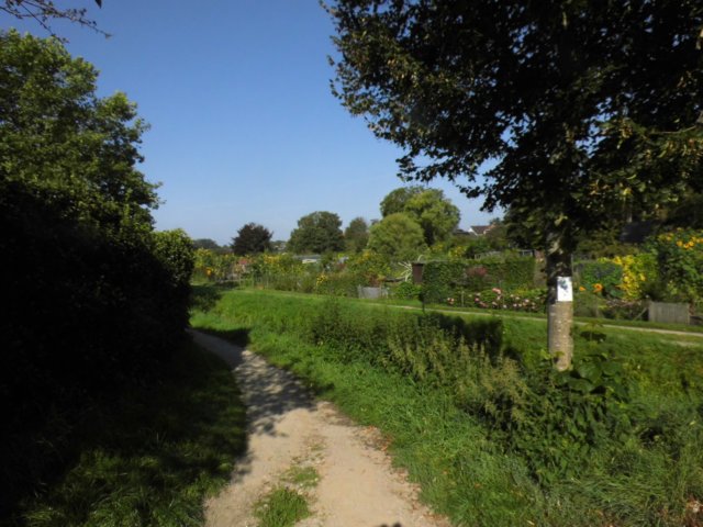 photo7.jpg