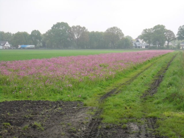 photo14.jpg