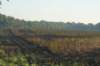 dsc08575_small.jpg