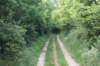 dsc07410_small.jpg