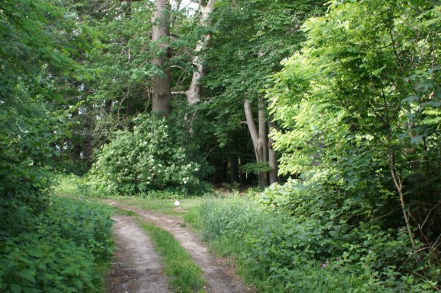 dsc07411.jpg