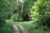 dsc07411_small.jpg