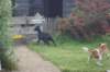dsc07415_small.jpg