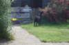 dsc07416_small.jpg