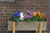 dsc07417_small.jpg