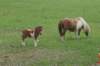 dsc07419_small.jpg