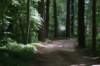 dsc07421_small.jpg