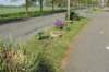 dsc06825_small.jpg