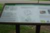 dsc08211_small.jpg