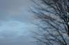 dsc06000_small.jpg