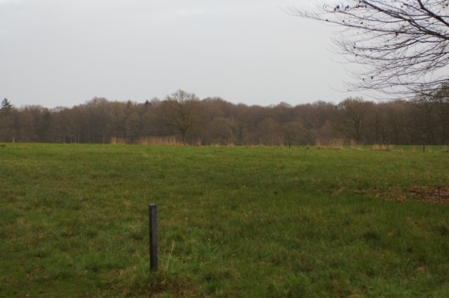 dsc06001.jpg