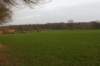 dsc06004_small.jpg