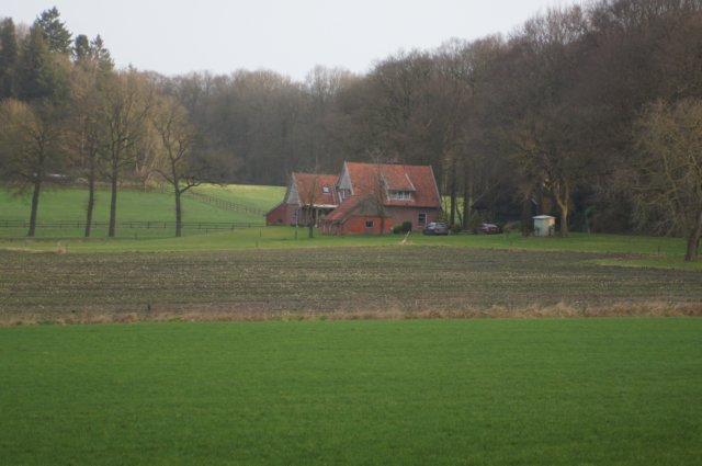 dsc06006.jpg